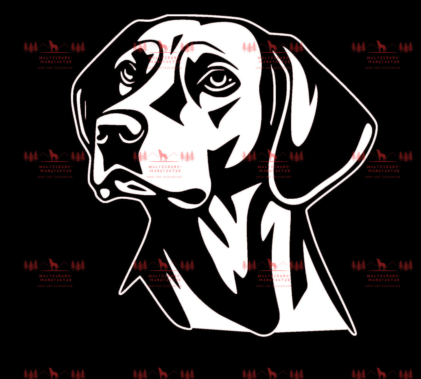 Vizsla 7
