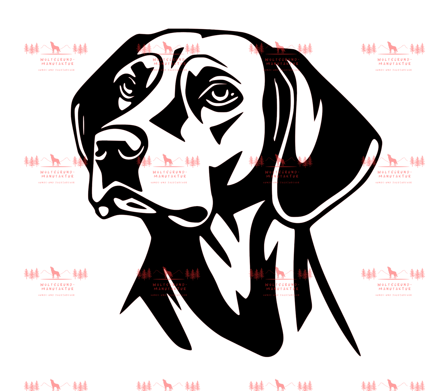 Vizsla 7