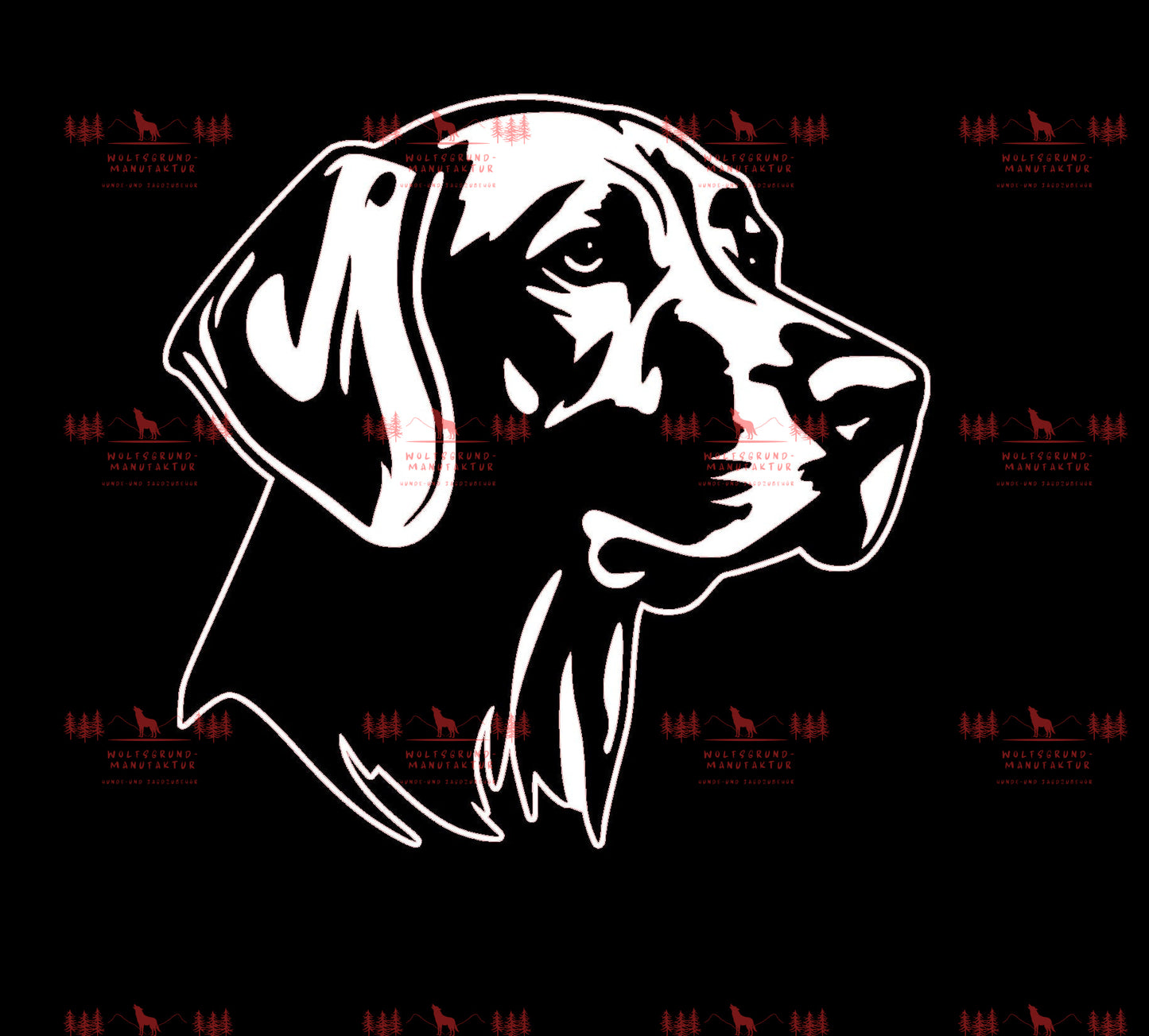 Vizsla 8