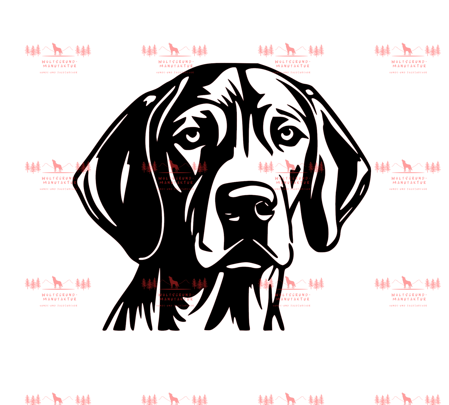 Vizsla 9
