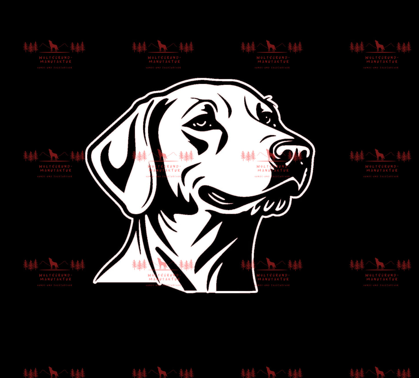 Weimaraner 1