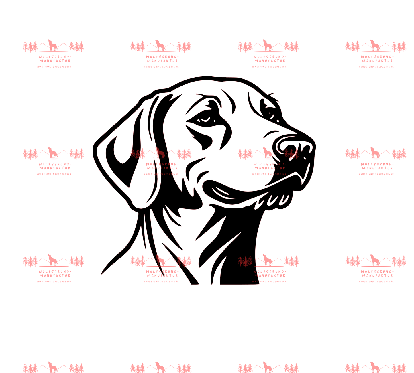 Weimaraner 1