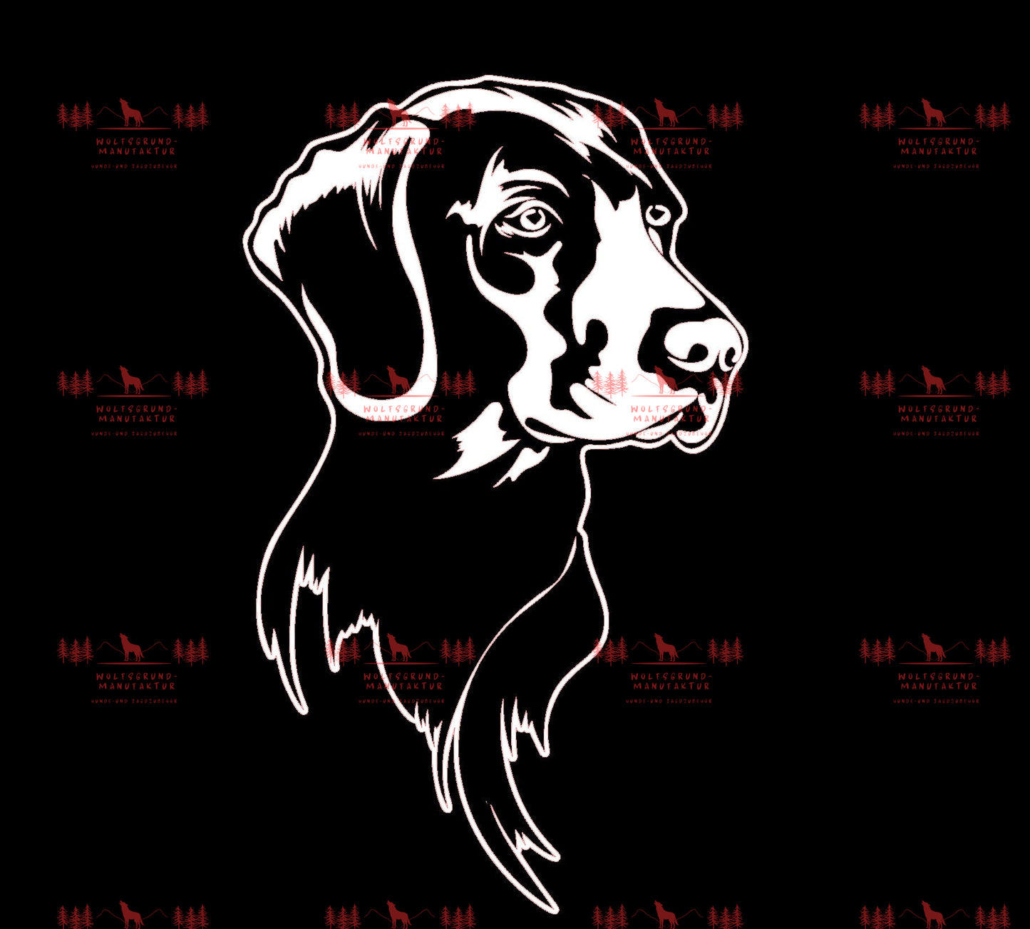 Weimaraner 2