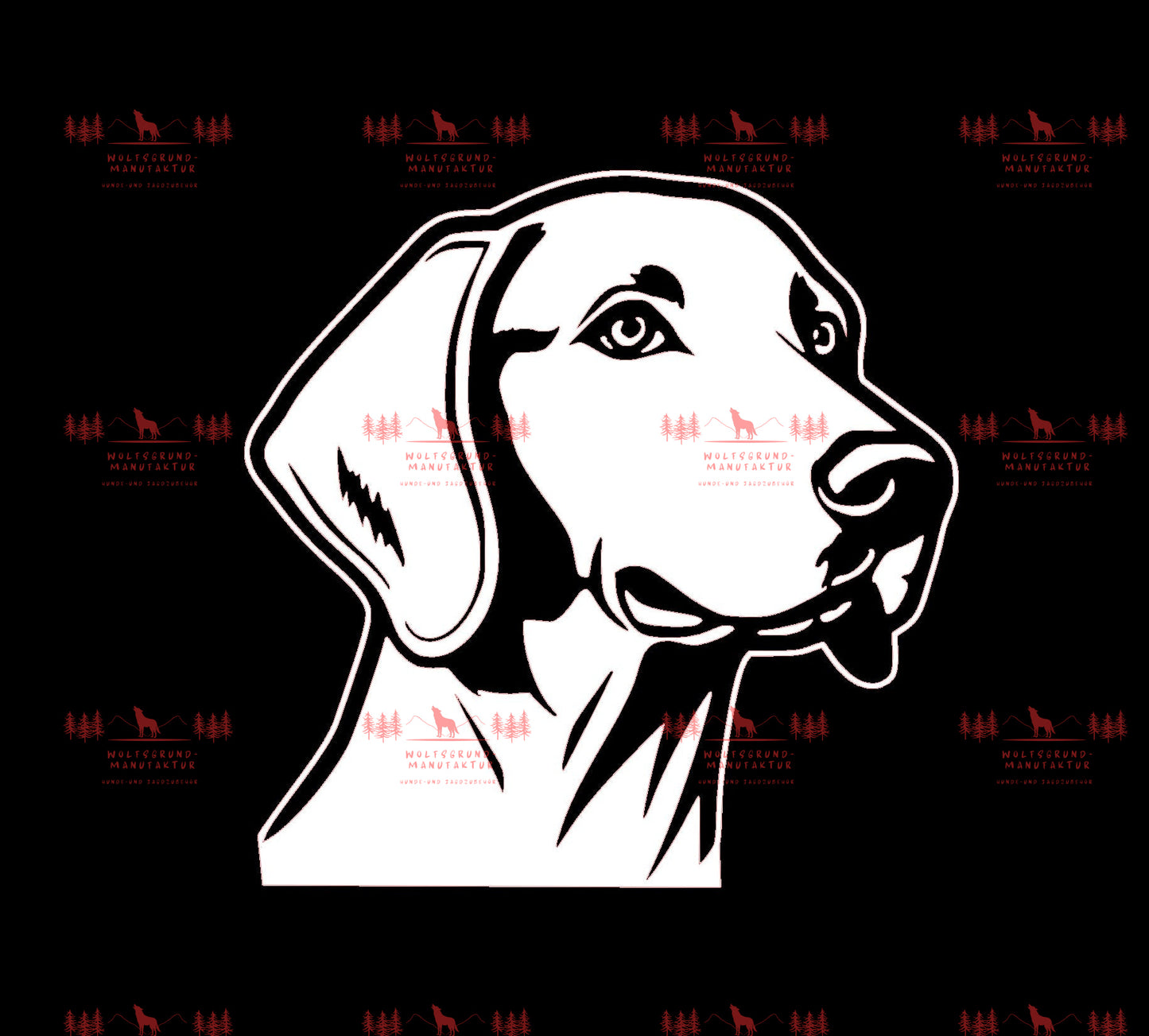 Weimaraner 3