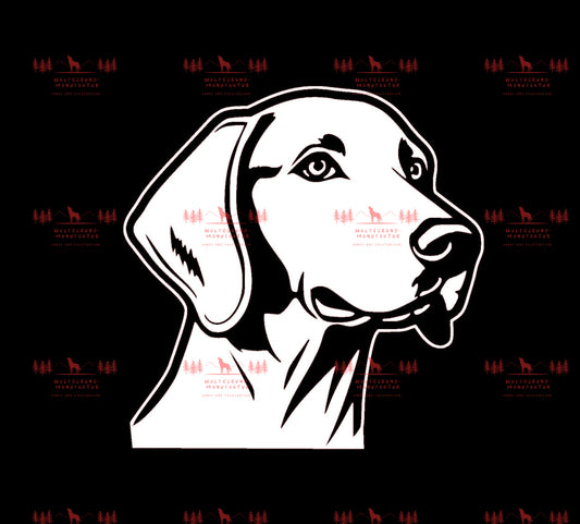 Weimaraner 3