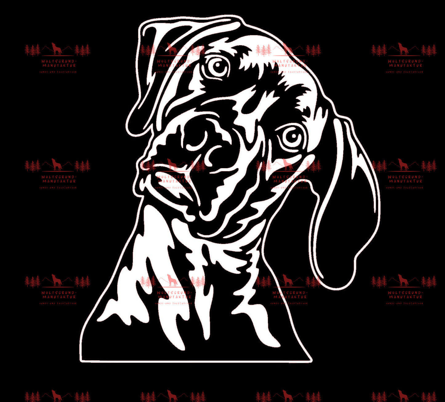Weimaraner 4