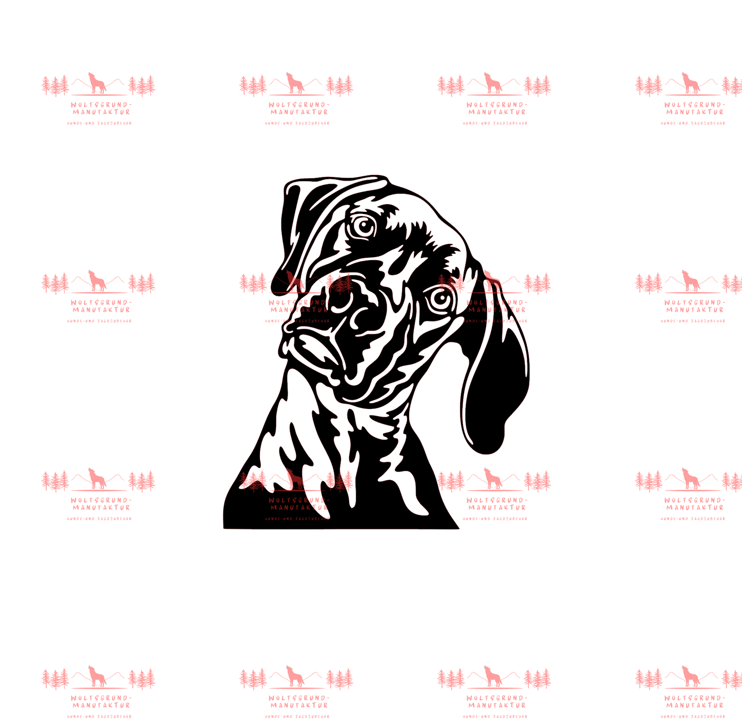 Weimaraner 4