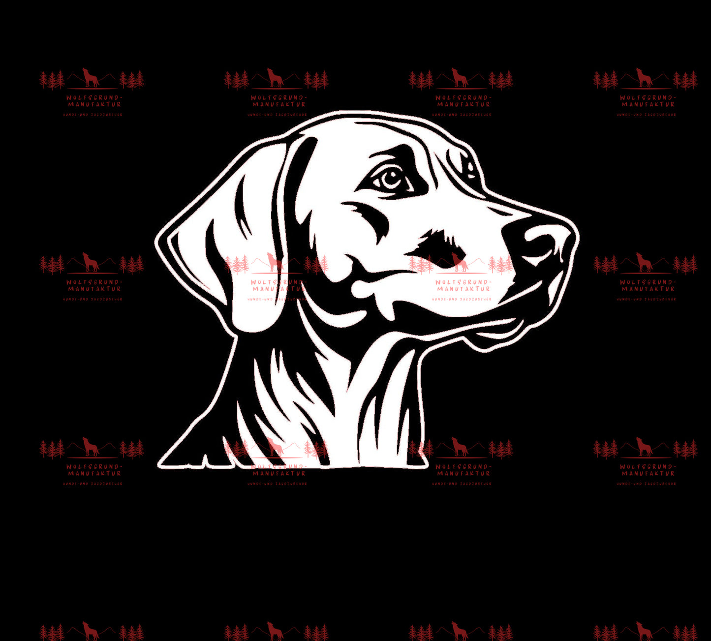 Weimaraner 5