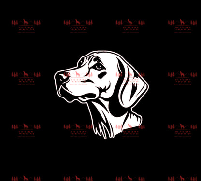 Weimaraner 6