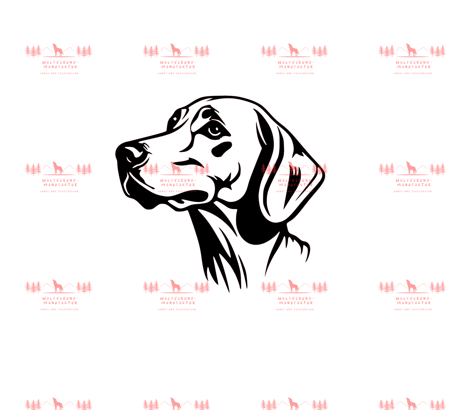 Weimaraner 6