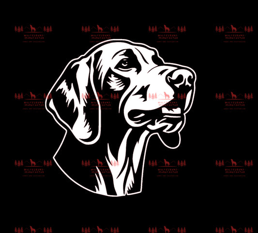 Weimaraner 7