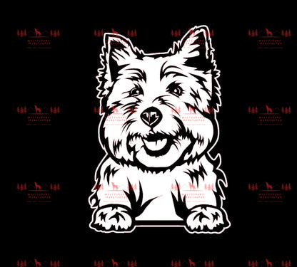 West Highland Terrier 1