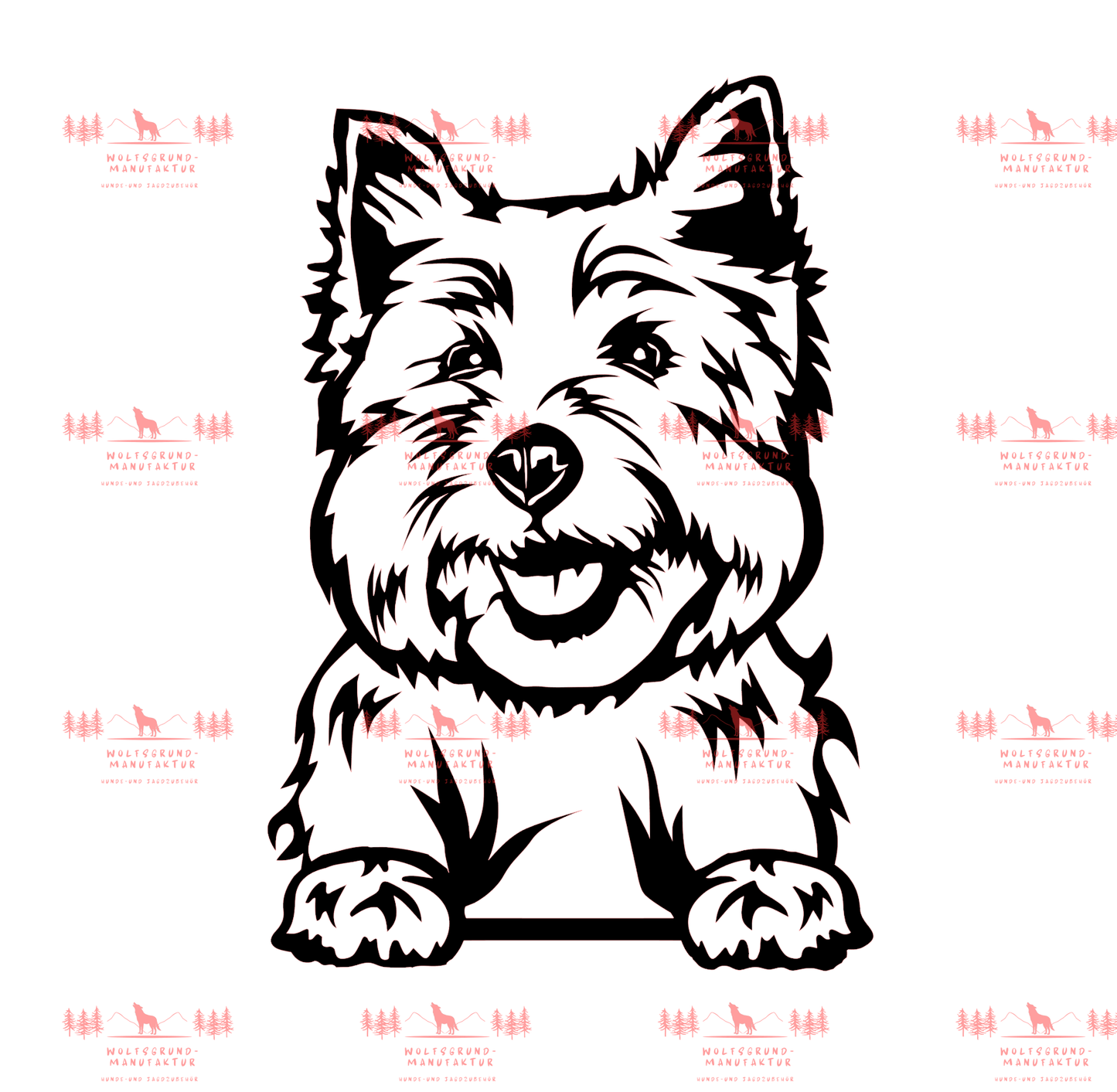 West Highland Terrier 1