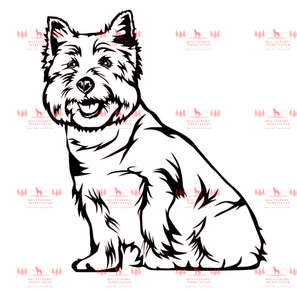 West Highland Terrier 2