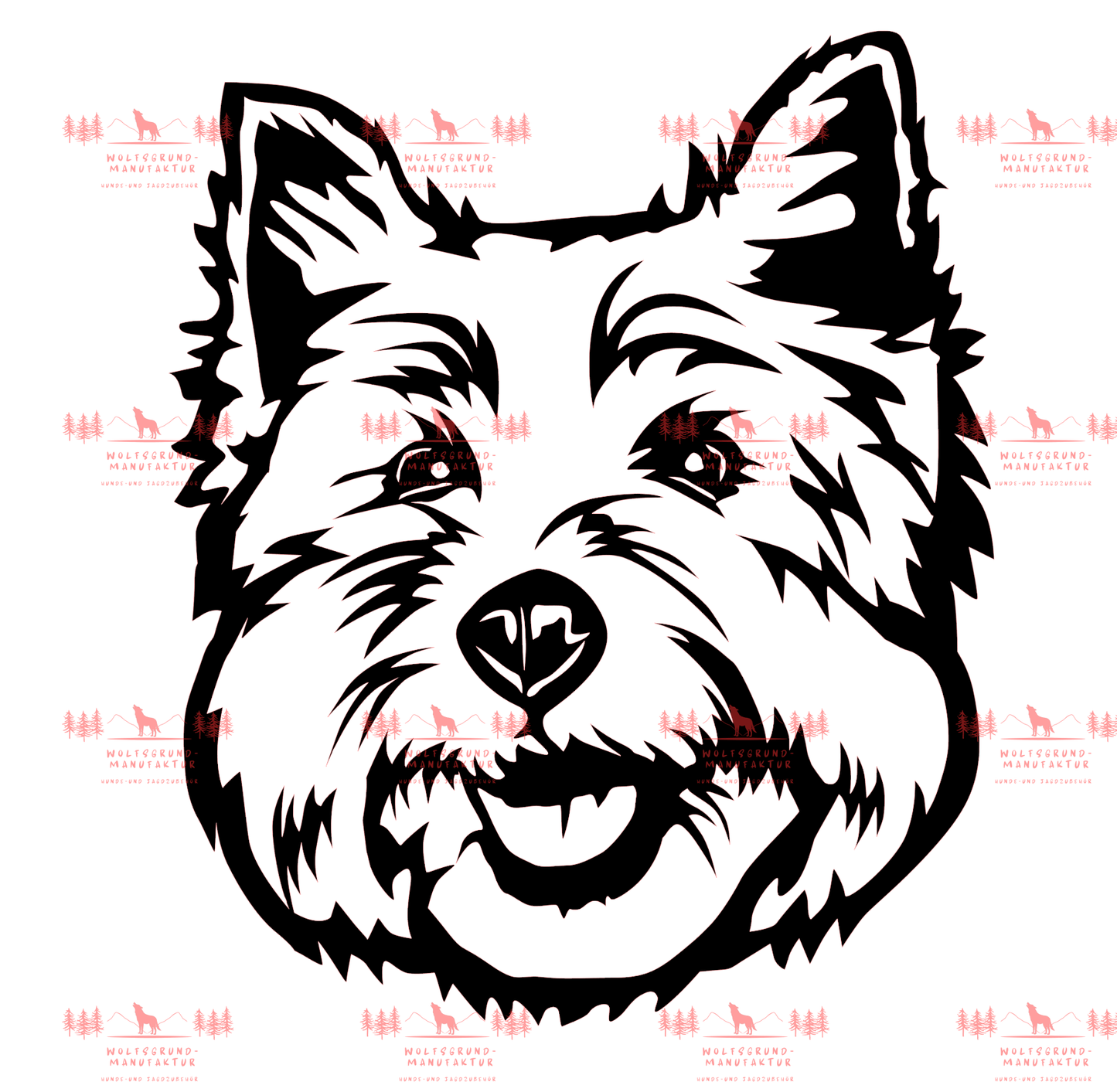 West Highland Terrier 3