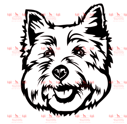 West Highland Terrier 3