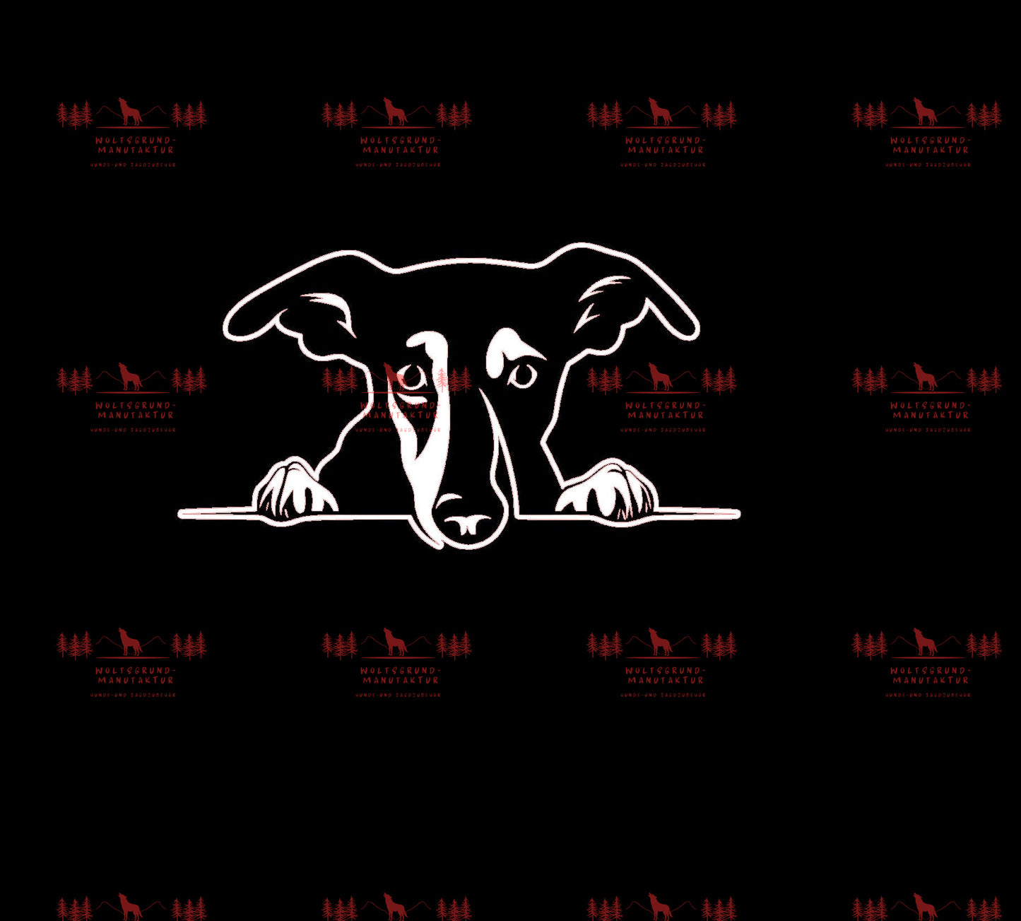 Whippet 1