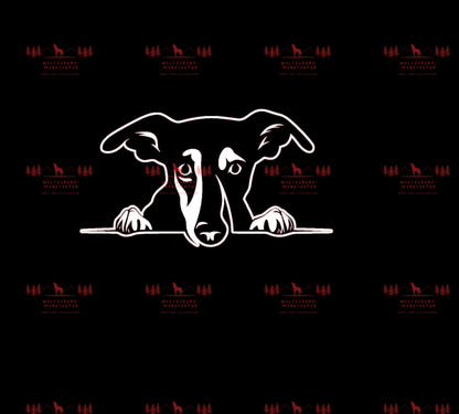 Whippet 1