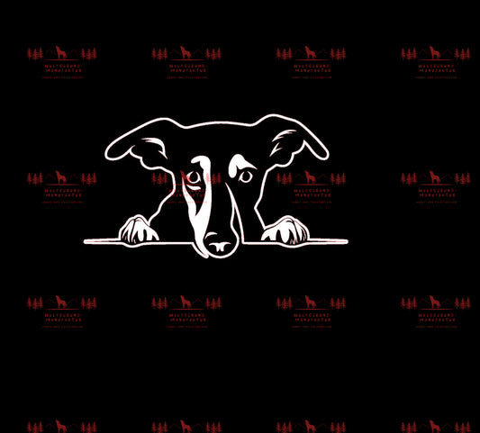 Whippet 1