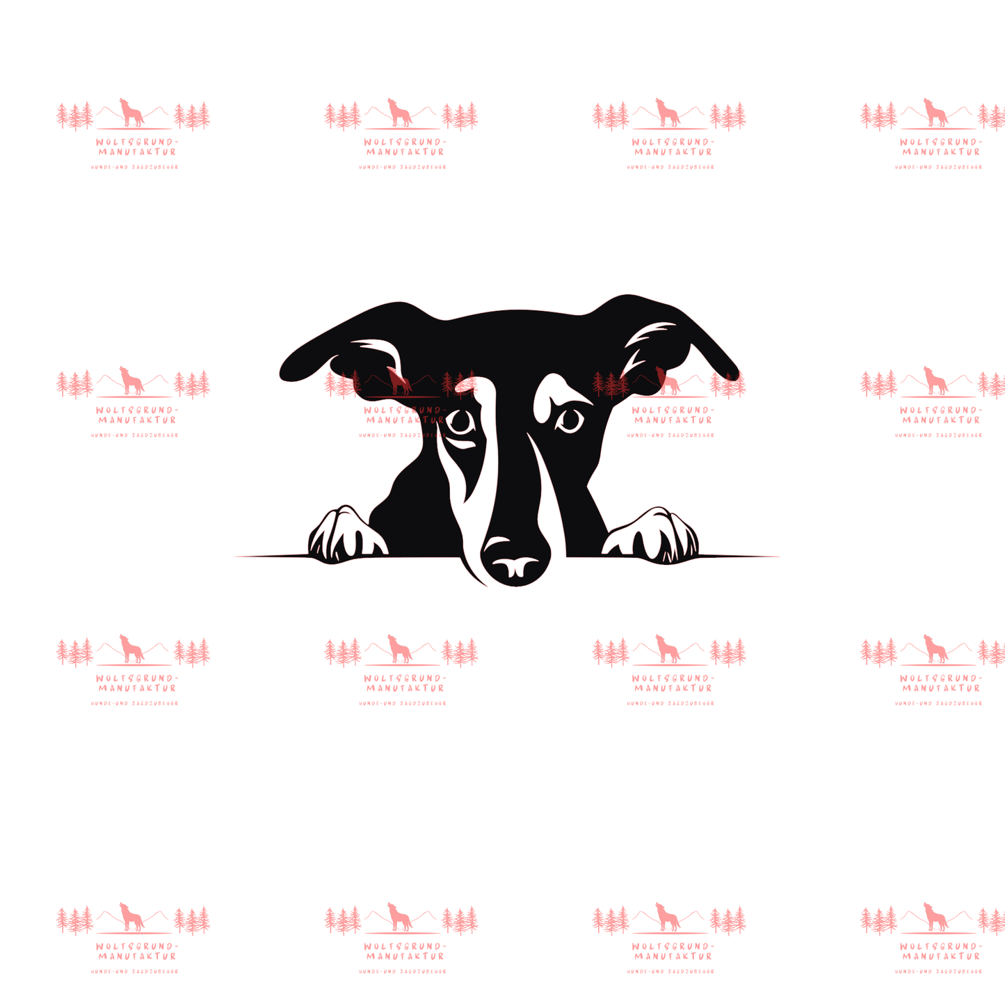 Whippet 1