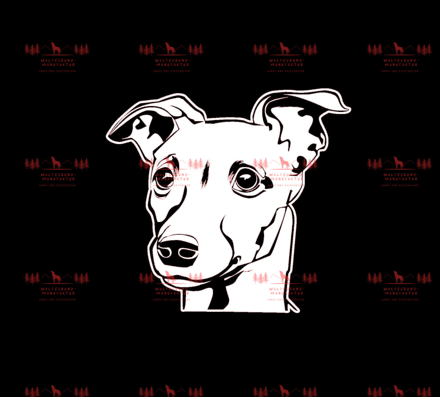 Whippet 2