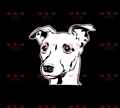 Whippet 2