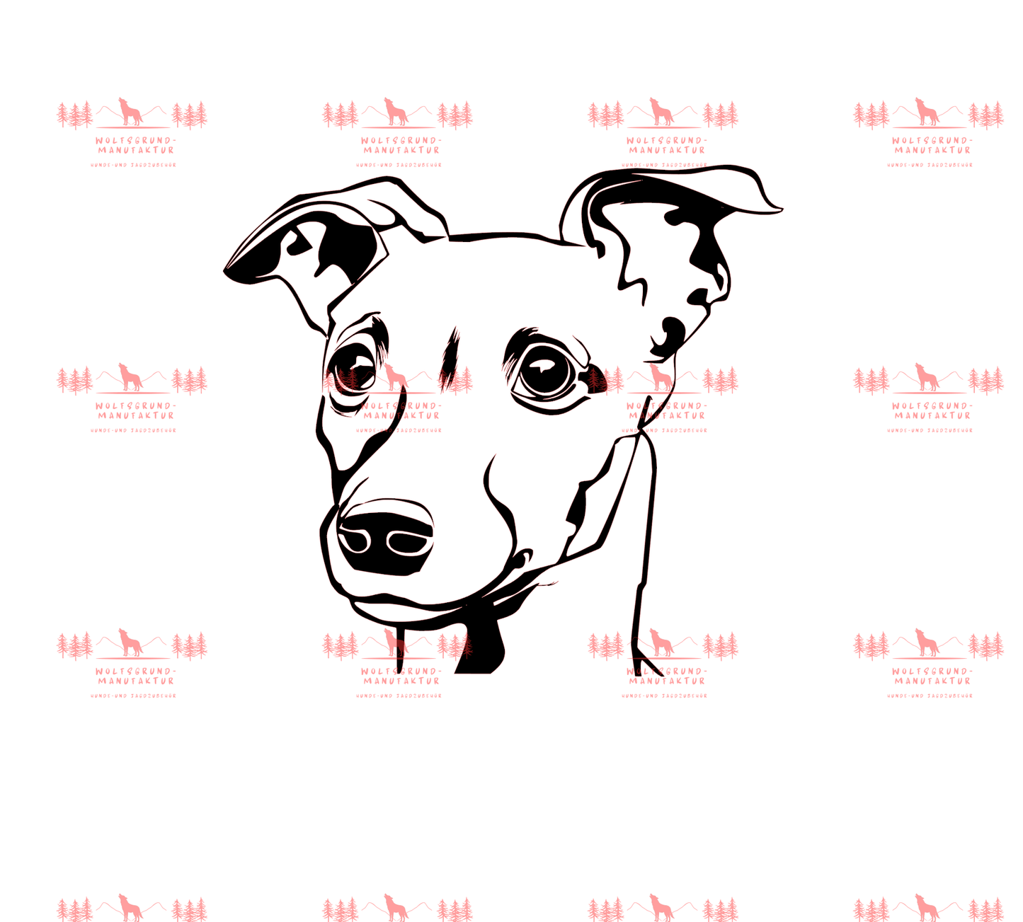 Whippet 2