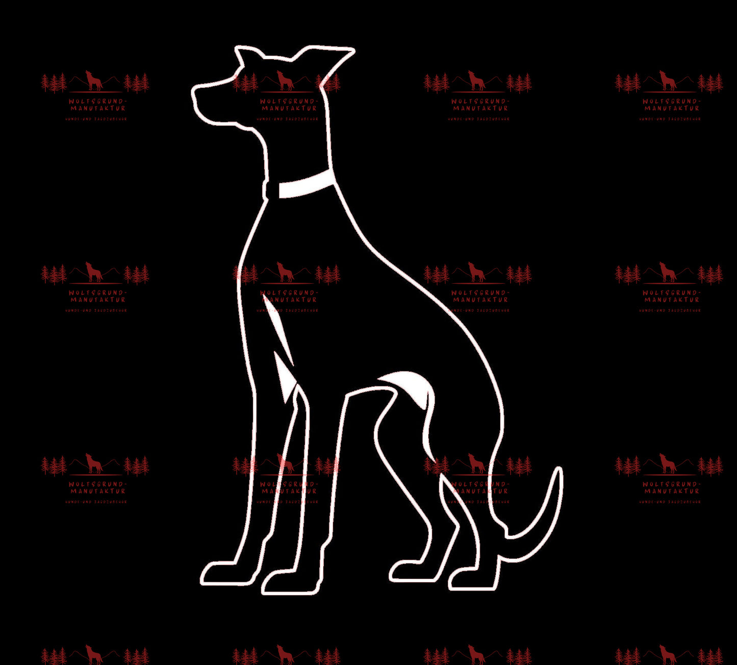 Whippet 3