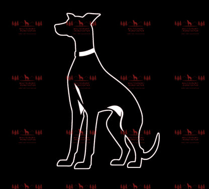 Whippet 3