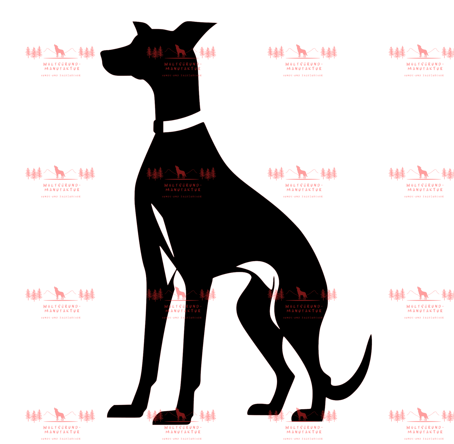 Whippet 3