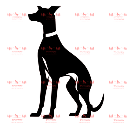 Whippet 3