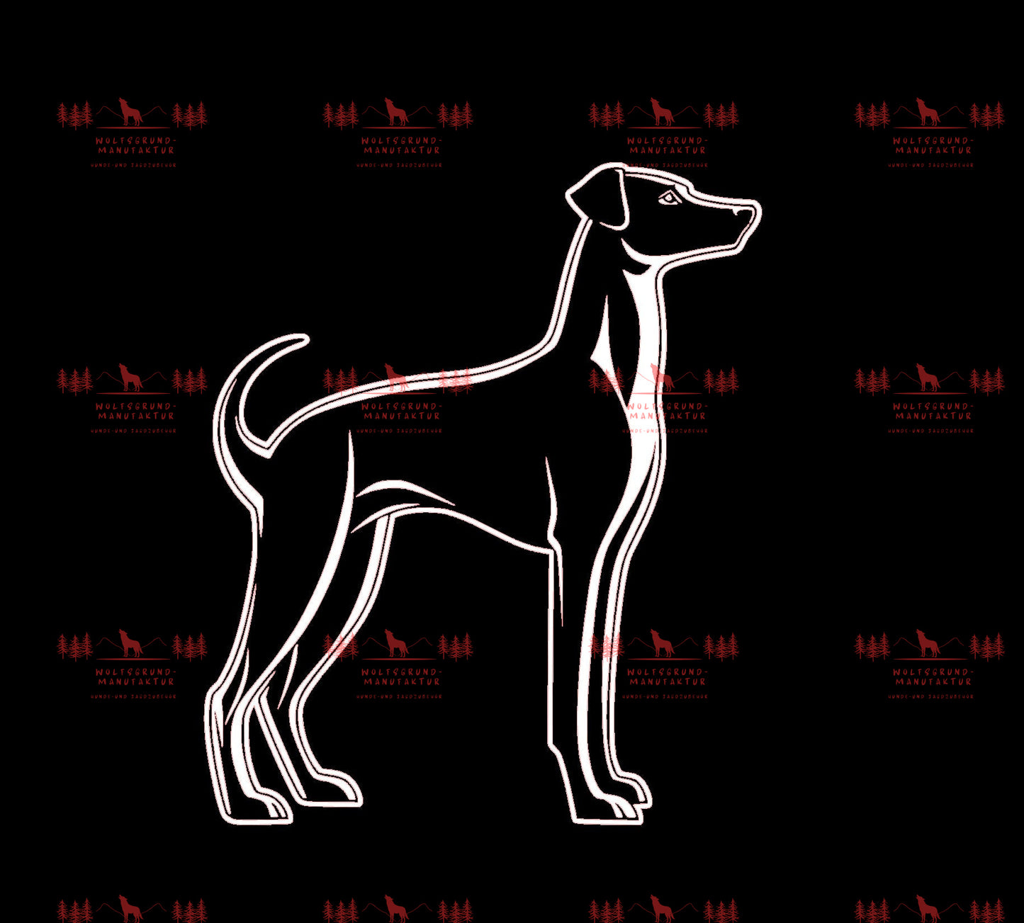 Whippet 4