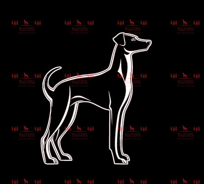 Whippet 4
