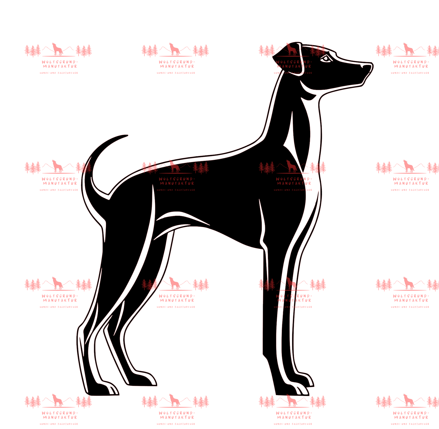 Whippet 4