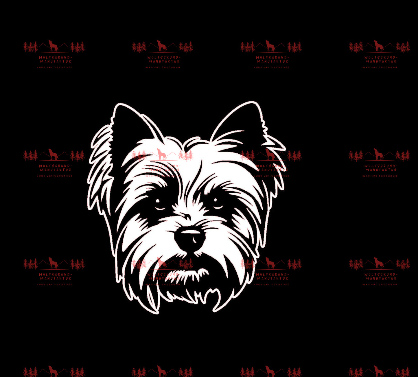 Yorkshire Terrier 1