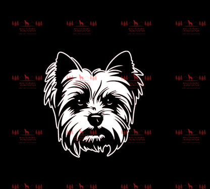 Yorkshire Terrier 1