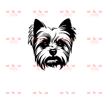 Yorkshire Terrier 1