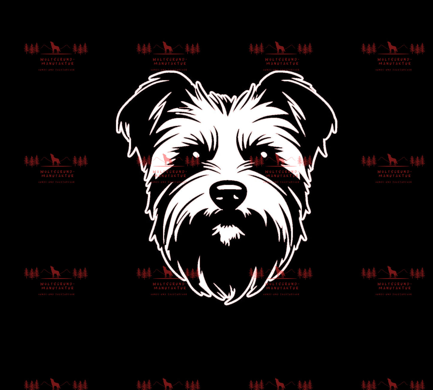 Yorkshire Terrier 2