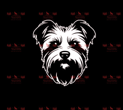 Yorkshire Terrier 2
