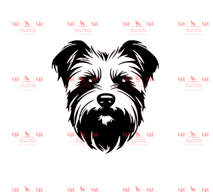 Yorkshire Terrier 2