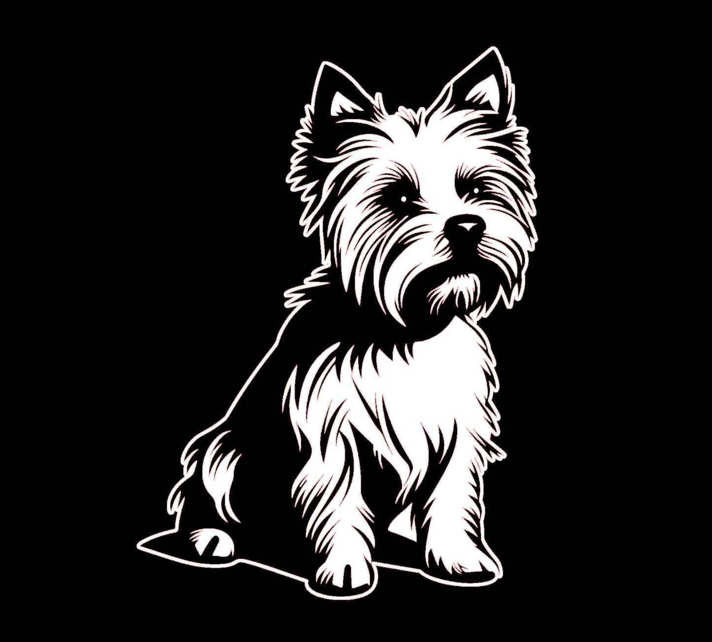 Yorkshire Terrier 3