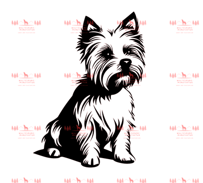 Yorkshire Terrier 3