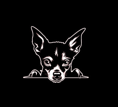Zwergpinscher