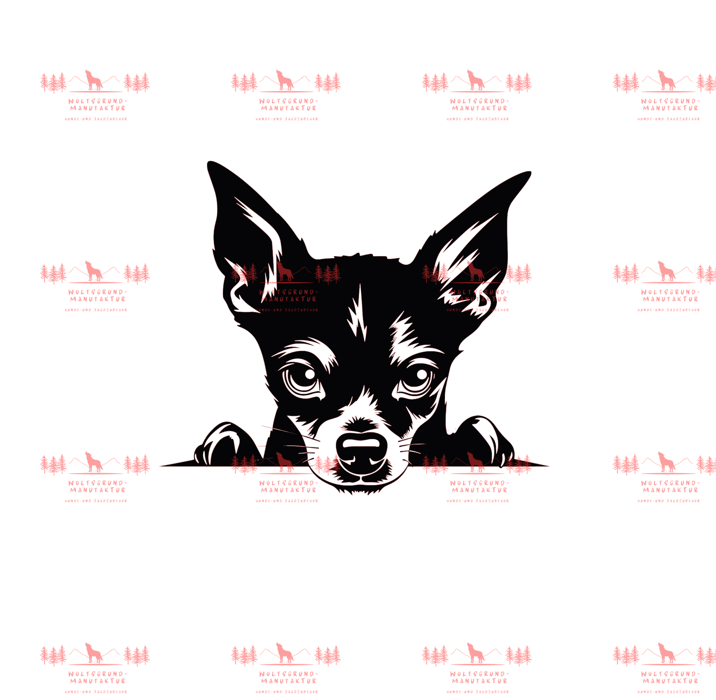 Zwergpinscher